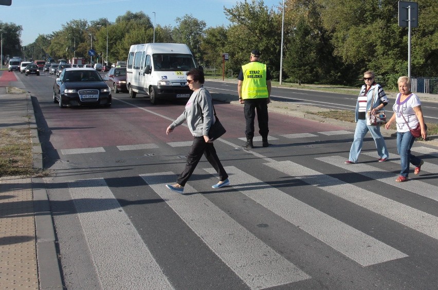 Radom. Akcja Straży Miejskiej na przejściu dla pieszych na...