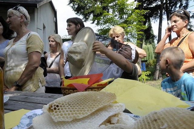 W ogrodzie botanicznym UKW każdy może z bliska przypatrzeć się pracy pszczół. Tutaj widać woskowe plastry.