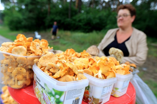 Osoby sprzedające kurki i inne grzyby spotkać można między innymi na trasach  do Ciechocinka i Poznania