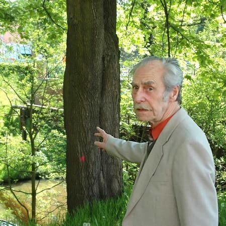 - W żadnym innym europejskim kraju nie doszłoby do wycinki tak pięknych drzew, to jest możliwe tylko w Polsce - uważa Reginald Rębisz ze Szprotawy