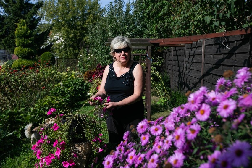 Pani Krystyna Boros o ogród dba wspólnie z mężem Tomaszem. W...