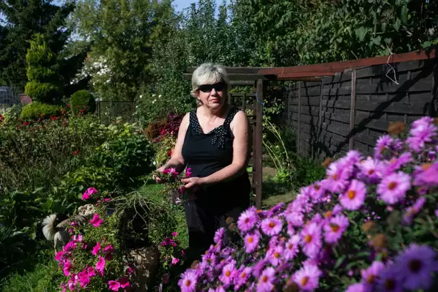 Pani Krystyna Boros o ogród dba wspólnie z mężem Tomaszem. W konkursie "Bydgoszcz w kwiatach i zieleni" małżeństwo bierze udział po raz pierwszy.