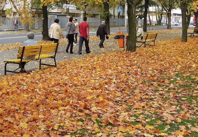 Pogoda w Łodzi na Święto Zmarłych będzie ładna.