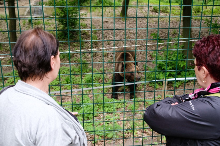 Poznańskie zoo odzyskuje status ogrodu zoologicznego