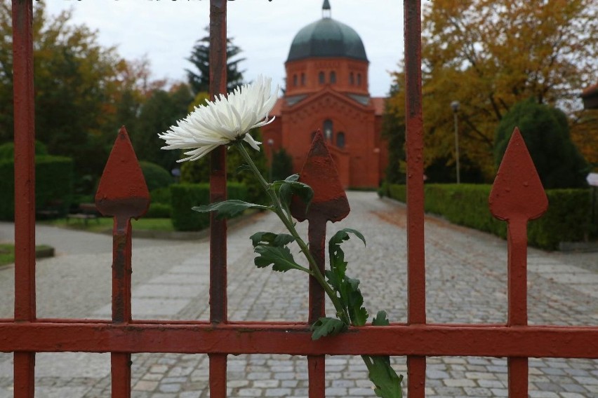 We Wrocławiu najbardziej znanymi cmentarzami są Osobowicki i...
