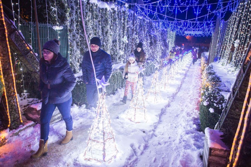 Iluminacje świąteczne w Damnicy