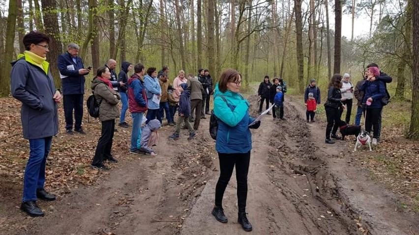 W programie między innymi: "Spacer po Megalitycznym Lesie"...