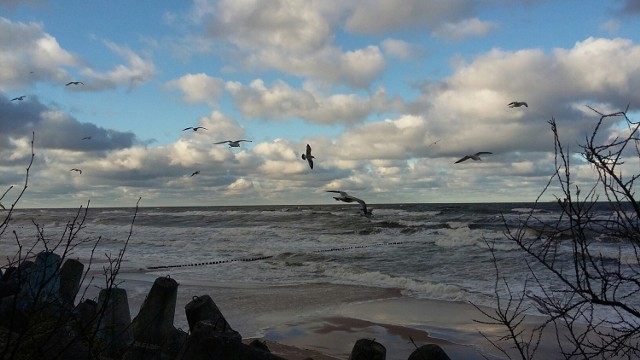 Wietrzna niedziela na plaży w Mielnie.Zobacz także Finałowa kąpiel morsów w Mielnie