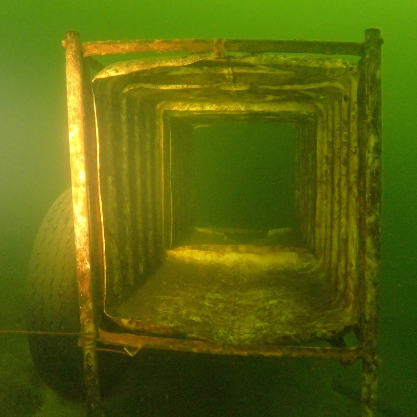 Podwodne zdjęcie Sławomira Mularskiego. Najciekawsze ujęcia nurka z Włocławka
