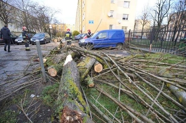 Choć na Pomorzu nadal mocno wieje, minionej nocy strażacy mieli dużo mniej interwencji niż w piątek.