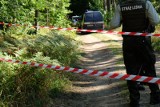Wycinka w Puszczy Białowieskiej. Ekolodzy skutecznie zablokowali ciężarówkę z drewnem