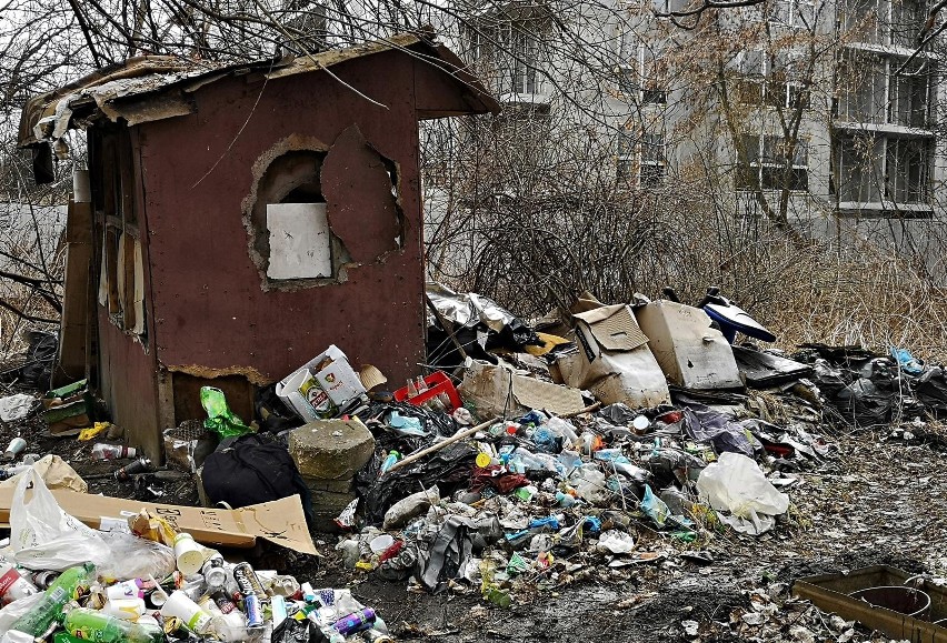 Kraków. Okolica parku Lotników Polskich niczym wysypisko śmieci [ZDJĘCIA]