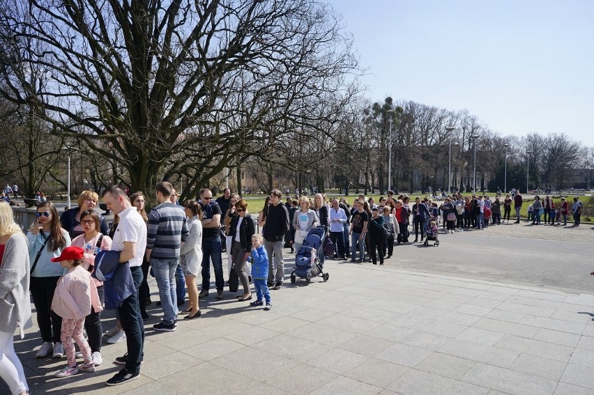 Długa kolejka w parku Wilsona. Co przyciągnęło tu...