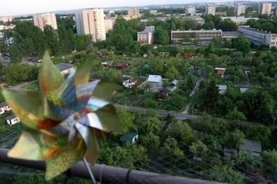 Kraków chce zachować ogródki działkowe Fot. Andrzej Banaś