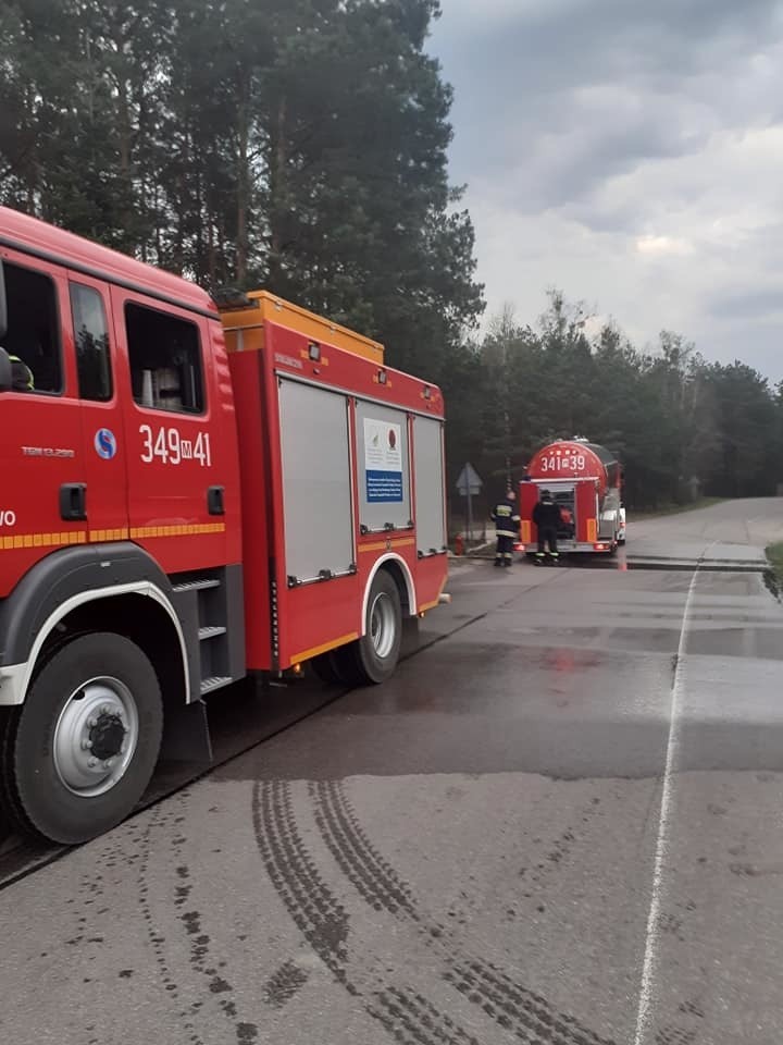 Nakły. Pożar lasu. Spłonęły ponad dwa hektary. Pożar wybuchł 28.04.2020. Zdjęcia