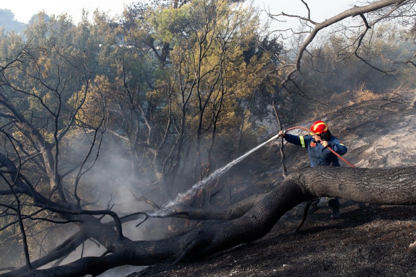Pożary w Grecji: Ewakuacja ludzi na wyspie Evia i próba ratowania narodowych skarbów w Olimpii, kłęby dymu otaczają Ateny [ZDJĘCIA] [WIDEO]