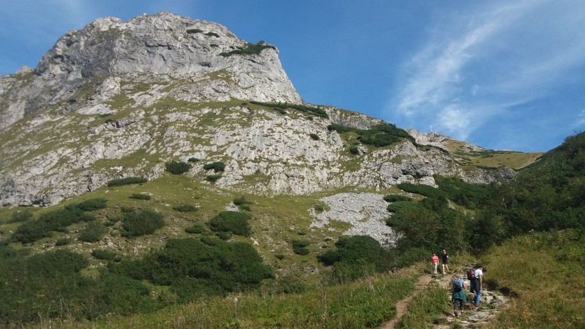 Zmierzamy ku Kondrackiej Przełęczy (1725 m n.p.m.), która...