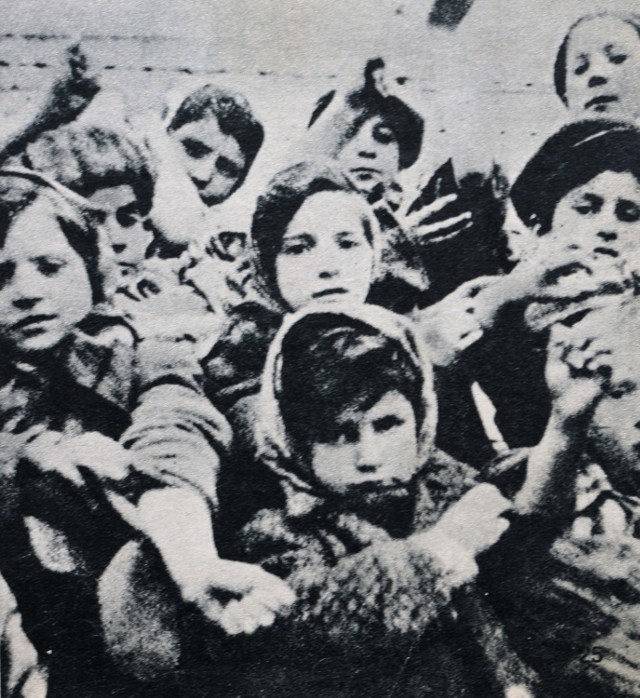 Na zdjęciu: Lidia Maksymowicz, więźniarka oboz Auschwitz  (miała wówczas 4 lata)