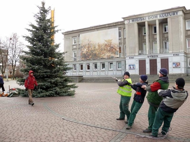 Stawianie choinki na Placu Piłsudskiego.