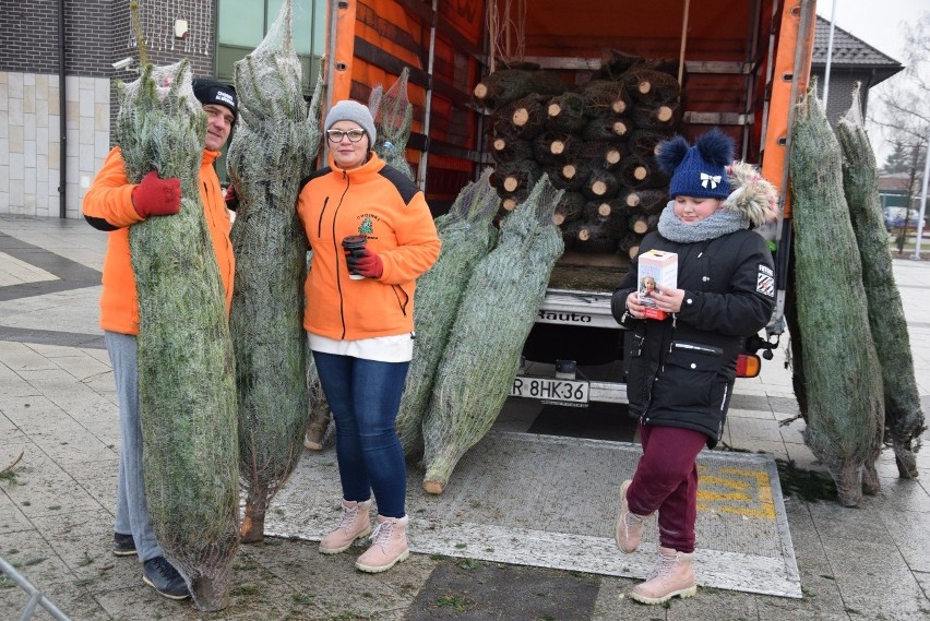 Choinkowa akcja dla Kacperka. Kupujesz świąteczne drzewko pomagasz ratować zdrowie dziecka