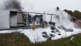 Zapalił się TIR z oponami na drodze pod Stargardem. Zablokowany przejazd na drodze krajowej 10 [ZDJĘCIA]