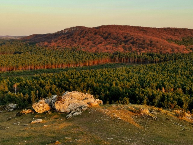Rezerwat Góry Sokole to niezapomniana przygoda jurajskimi szlakami pośród masywnych wzniesień, jaskiń oraz skał wapiennych.