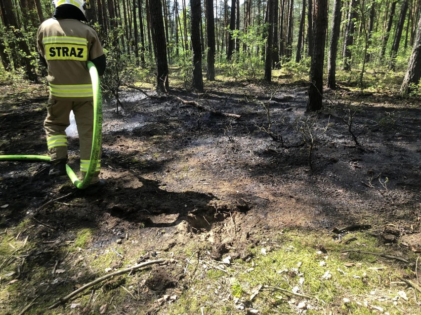 Pożar w lesie w rejonie miejscowości Rafa wybuchł w sobotę...