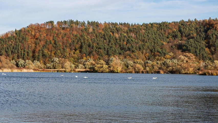 Stawy rybne w Hlomczy mają być atrakcją turystyczną.
