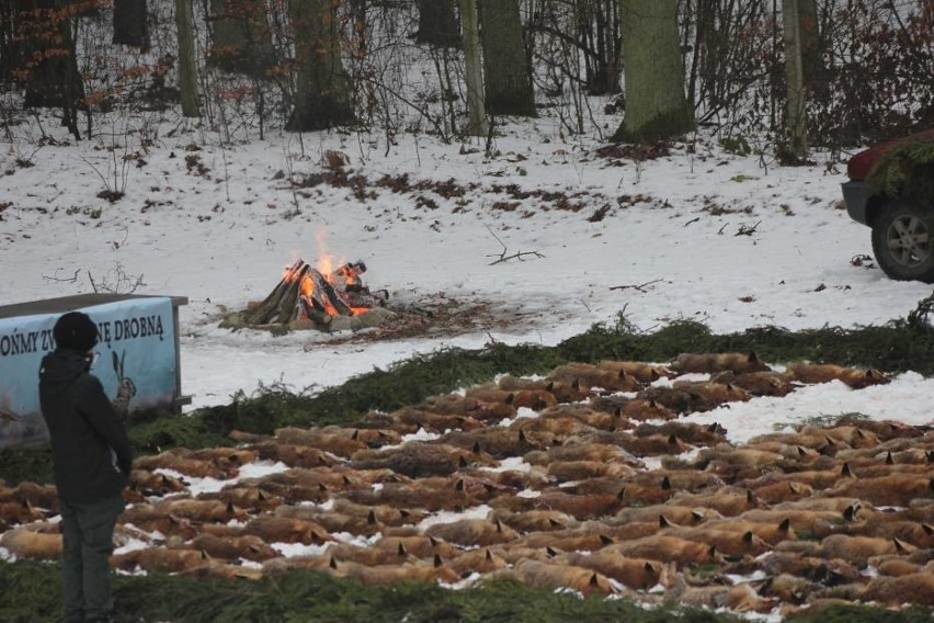 Zakończenie sezonu łowieckiego