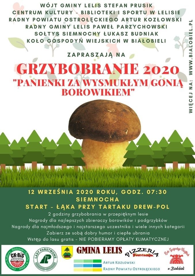 Weekend w Ostrołęce i okolicach: Monster Trucki, InQbator, grzybobranie, Narodowe Czytanie i koncerty. 12-13.09.2020
