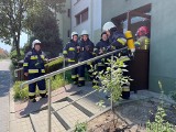 Gazu ulatniał się w bloku przy ul. Koszyka w Opolu. Interweniowało pięć jednostek straży pożarnej i pogotowie energetyczne