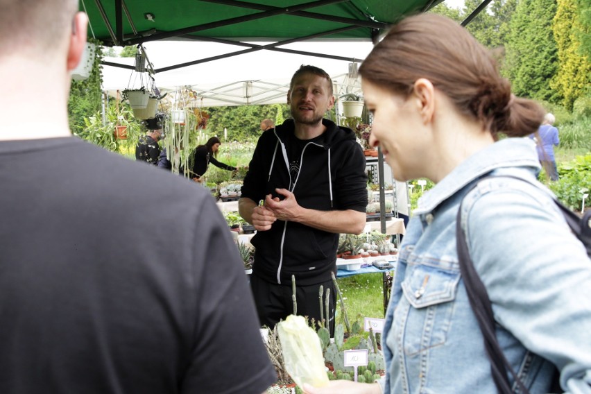 Wystawa kaktusów i innych sukulentów w Ogrodzie Botanicznym UMCS [ZOBACZ ZDJĘCIA]