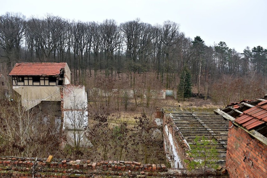 Opuszczona cegielnia w Radowicach znajduje się na uboczu...