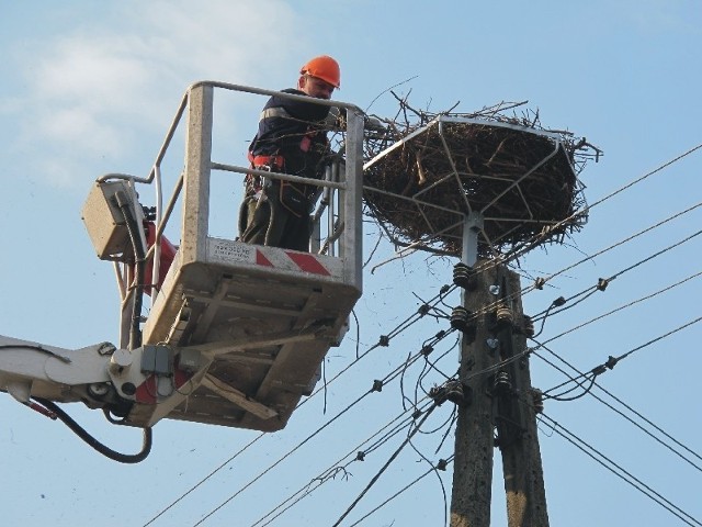 Dzisiaj energetycy założyli metalowy kosz. Na nim bociany będą mogły zbudować gniazdo.