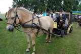 Kaszubscy kuczerzy uczyli się, jak dbać o konie