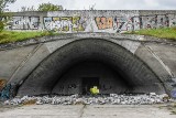 Zygmunt Chyla: Stadion Szyca jak kukułcze jajo