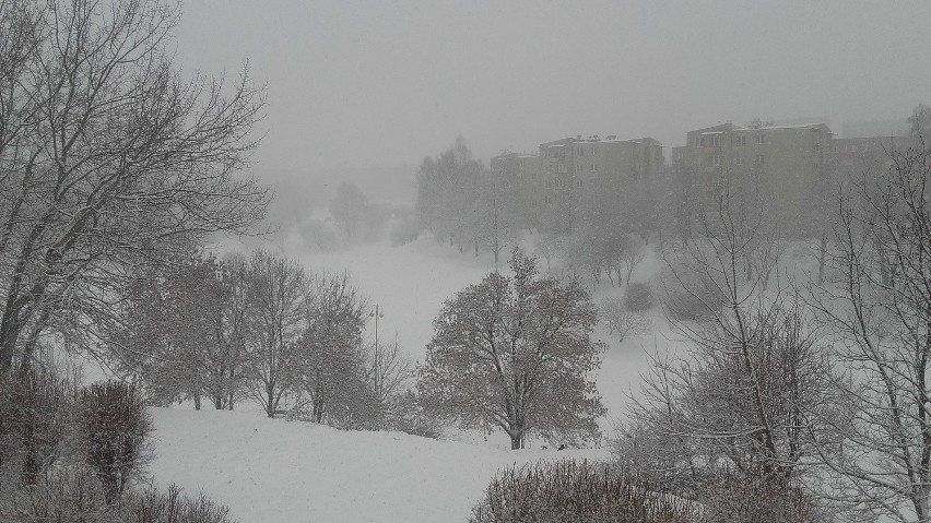 Zima w Lublinie. Padający śnieg spowalnia ruch