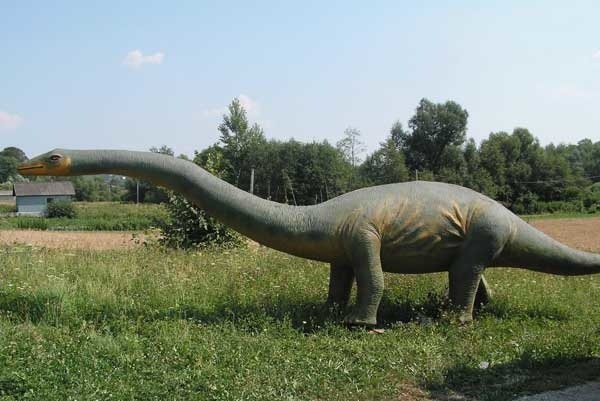 Fabryka dinozaurów w Domaradzu