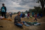 Dolny Śląsk nie chce uchodźców. Bo nie ma miejsca
