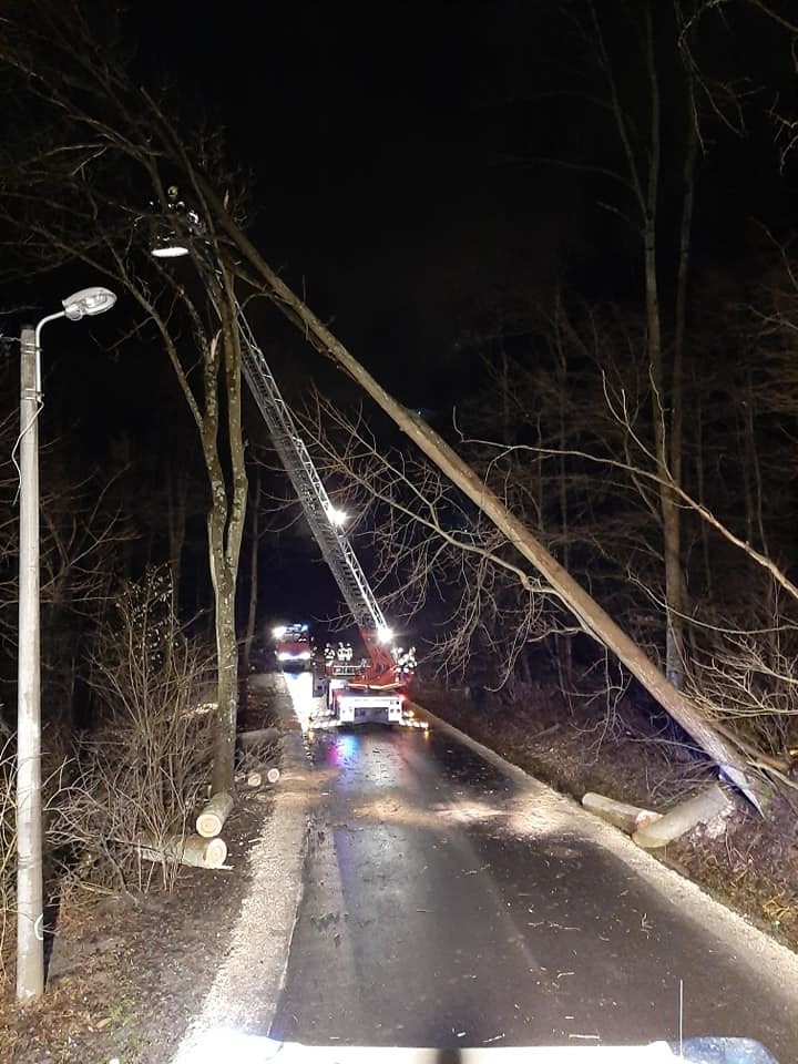 Wichury w Małopolsce. Wiatr łamał drzewa i zrywał dachy [ZDJĘCIA] 24.02.