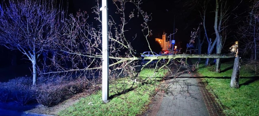 Silnie wiejący wiatr na Podkarpaciu. Blisko 100 interwencji; najwięcej w pow. krośnieńskim, rzeszowskim i jasielskim [ZDJĘCIA]