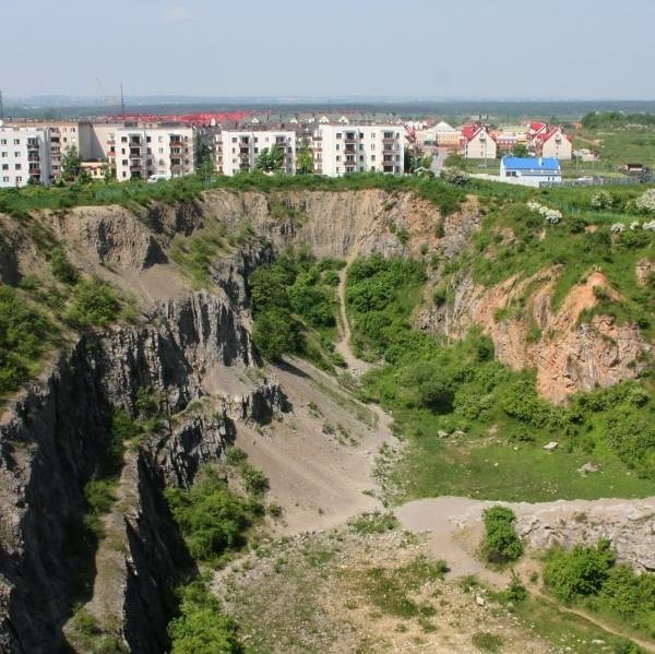 Zgodnie z planem prezydenta Wojciecha Lubawskiego, o tereny zielone takie jak rezerwat Ślichowice mają dbać uczniowie kieleckich szkół.