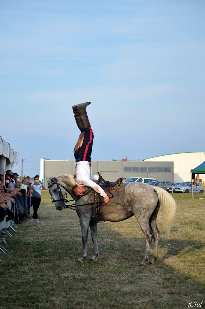 W Malichowie gościli specjaliści od rajdów konnych [zdjęcia]