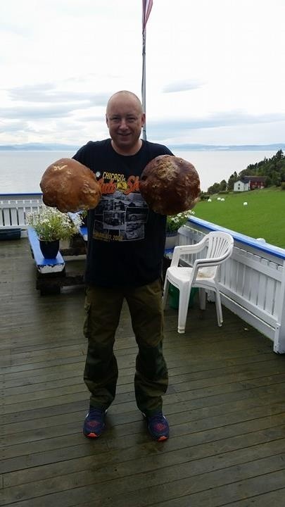 Pan Andrzej pochwalił się zebranymi prawdziwkami w okolicach Trondheim w Norwegii. Gignatyczne grzyby ważyły 2 i 2,5 kg