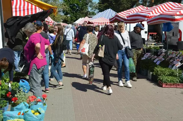 Na targu w Stalowej Woli panował spory ruch. Na kolejnych zdjęciach sprawdzicie ceny owoców i warzyw>>>