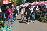 Ceny owoców i warzyw na stalowowolskim targu. Po ile truskawki i czereśnie? (FOTO)