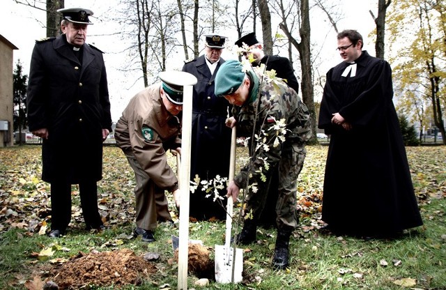 Dęby pamięci upamiętniają oficerów zamordowanych w Katyniu