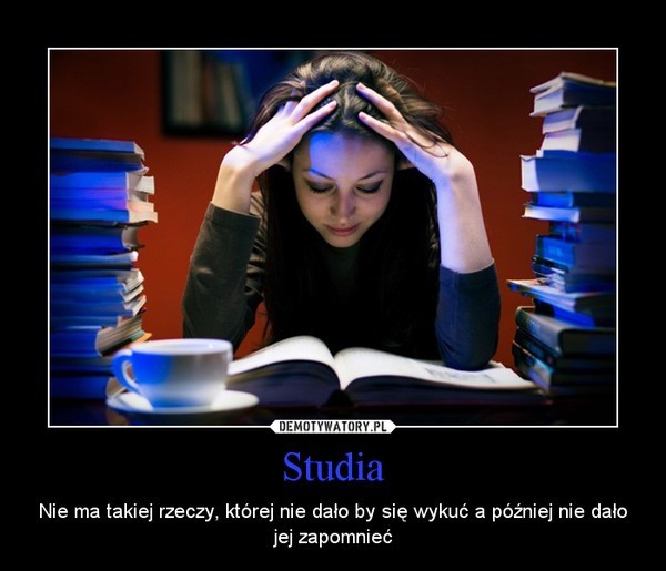 Studia w Polsce. Memy prawdę ci powiedzą           