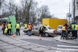 W Starym Zoo kręcą film. Poznańskie zwierzęta będą bohaterami "Lamparta z Ankary". Zobacz zdjęcia z planu