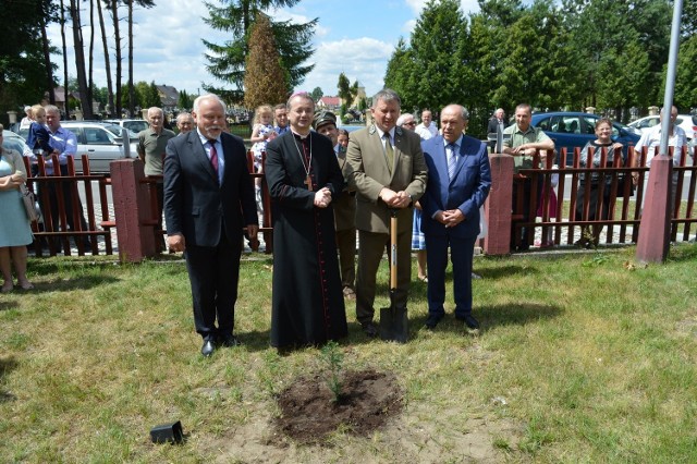 Zasadzona przez biskupa Tadeusza Lityńskiego sadzonka cisa, którego ziarno poświęcił papież Benedykt XVI